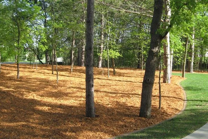 Trusted residential landscaping for homes across Jordan, MN - Lawns Are Us