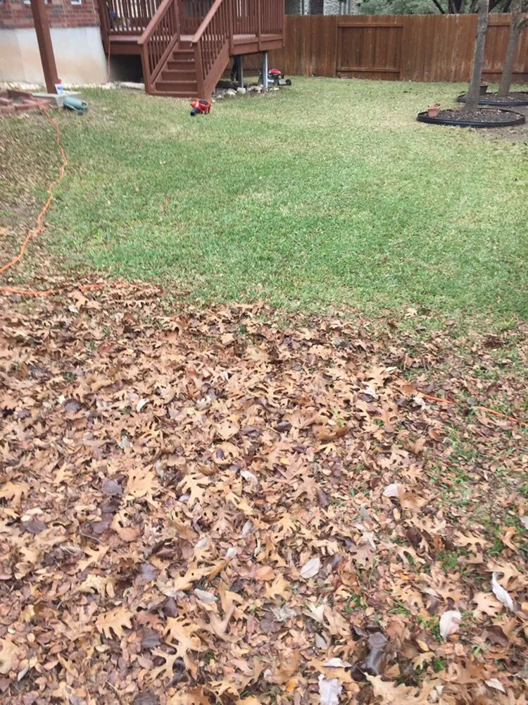 Trusted yard cleanup service in Round Rock, TX by Lawns are Us