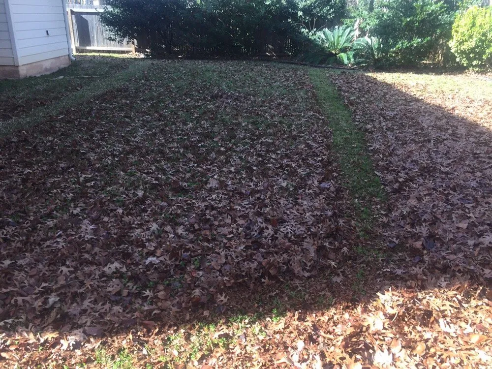 Affordable landscape design in Round Rock, TX - Lawns are Us