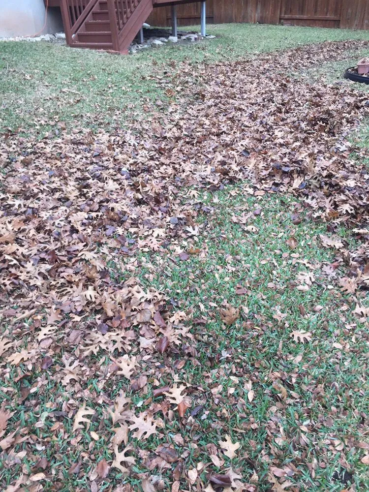 Top-rated garden landscaping for year-round maintenance in Round Rock, TX by Lawns are Us