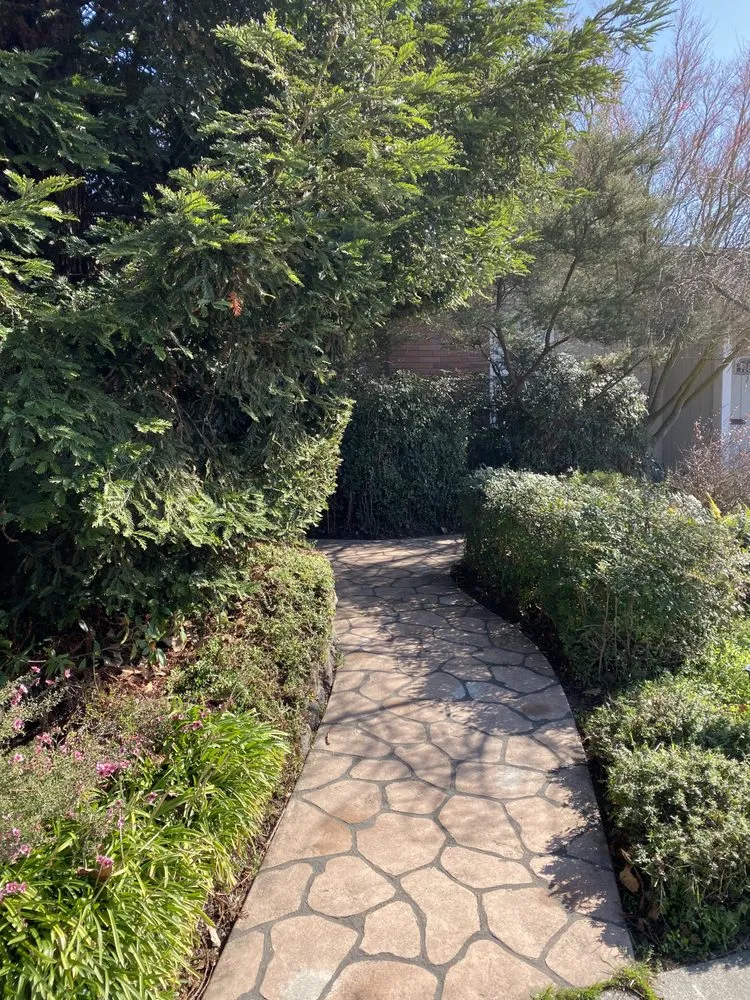 Custom yard maintenance in Rohnert Park, CA by Lawns At Dawn