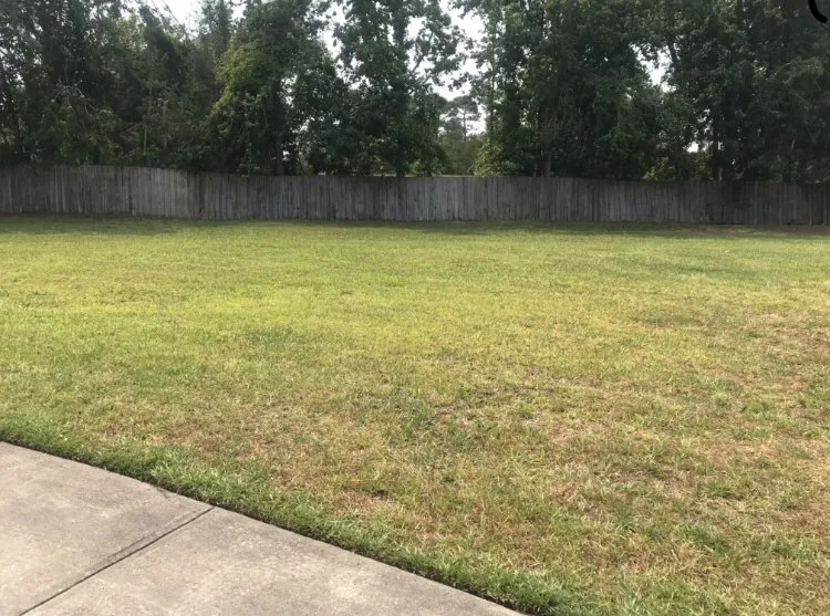 Local garden landscaping in Kure Beach, NC by Lawns By Cam