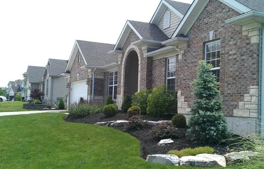 Affordable yard cleanup service with custom design in Durham, NC by Lawns by Carlito