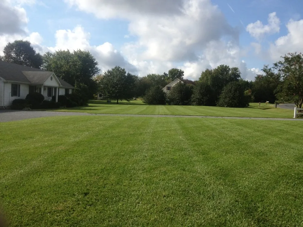 Reliable garden landscaping experts serving Durham, NC - Lawns by Carlito