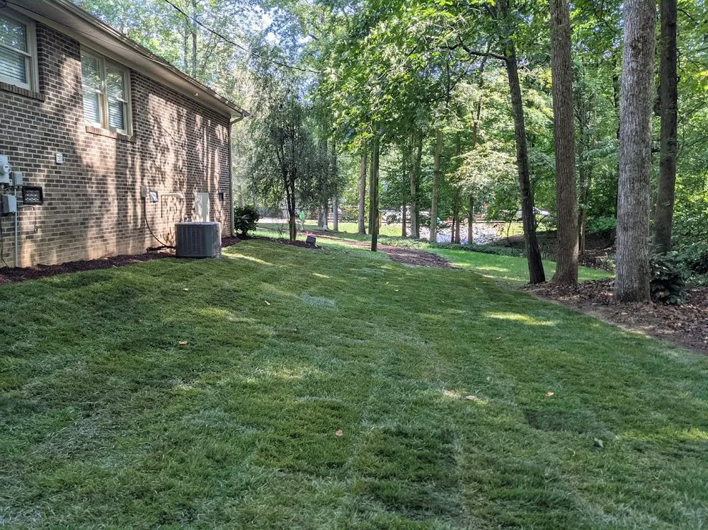 Professional landscaping services for residential properties in Durham, NC by Lawns by Carlito