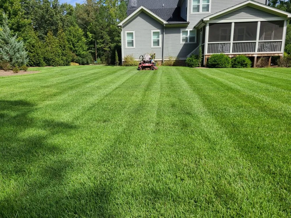 Professional yard cleanup service in Durham, NC by Lawns by Carlito