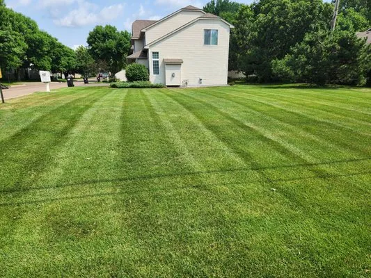 Lawns By CT