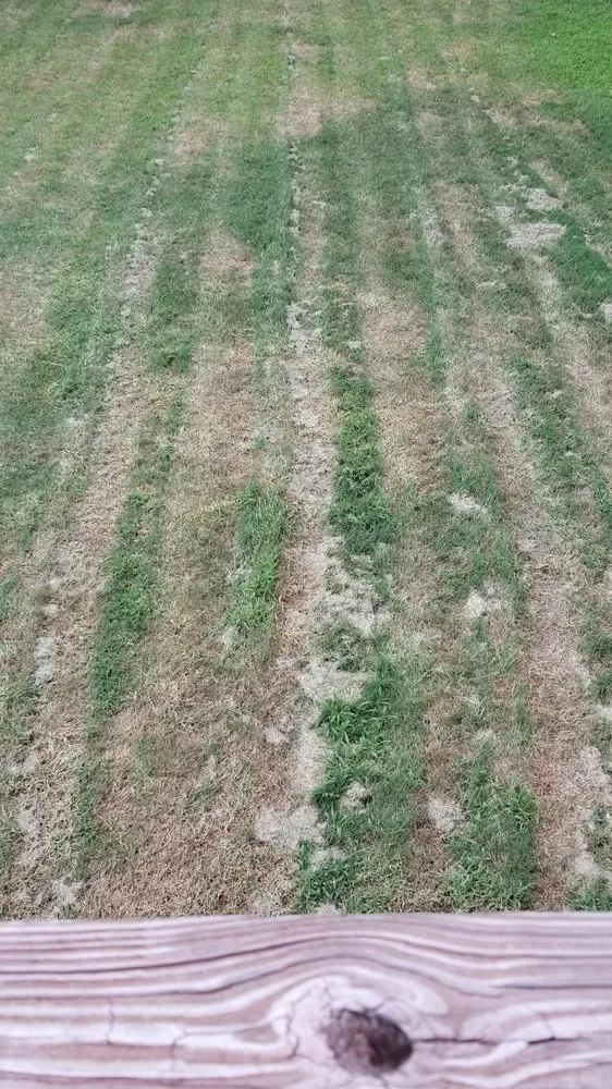 Affordable residential landscaping experts serving Hampton, GA - Lawns By Devlin