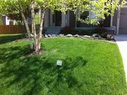 Local lawn mowing service for residential properties in Hampton, GA by Lawns By Devlin