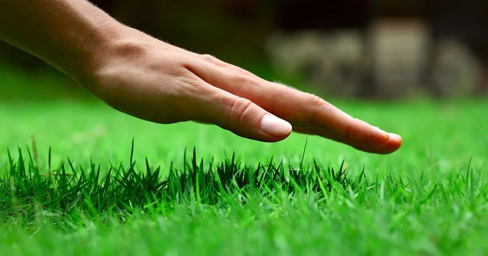 Affordable landscape design for residential properties across Lincoln, DE - Lawns By Glen