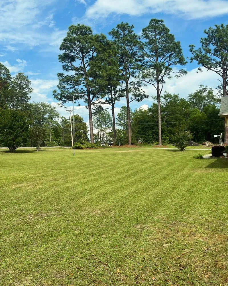 Local residential landscaping in Aiken, SC by Lawns By Landyn