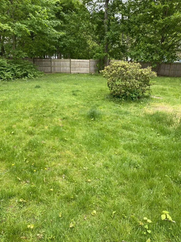Local yard cleanup service for outdoor upgrades in Brockton, MA by Lawns By Lenora
