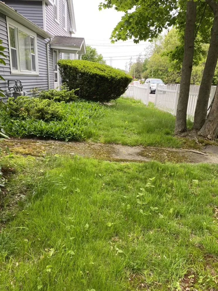 Professional landscape installation in Brockton, MA - Lawns By Lenora