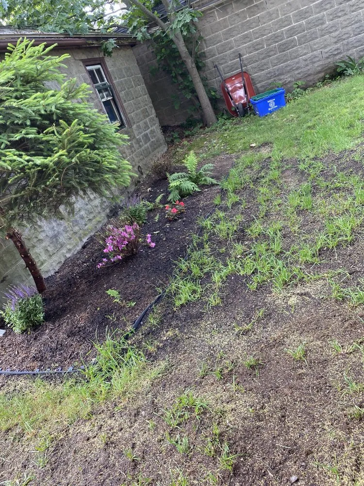 Trusted lawn care service experts serving Brockton, MA - Lawns By Lenora