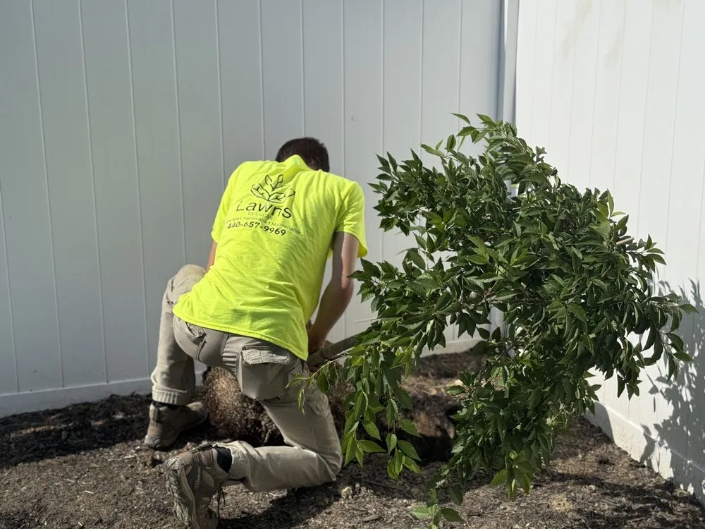 Reliable landscape installation for beautiful yards in Grafton, OH by Lawns By Lucas