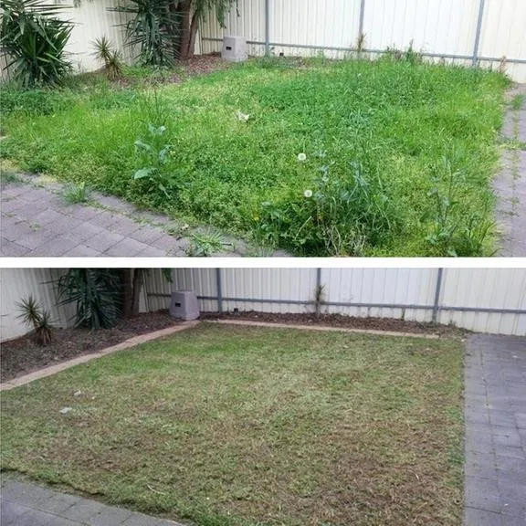 Affordable garden landscaping in Orange City, FL by Lawns By Luis