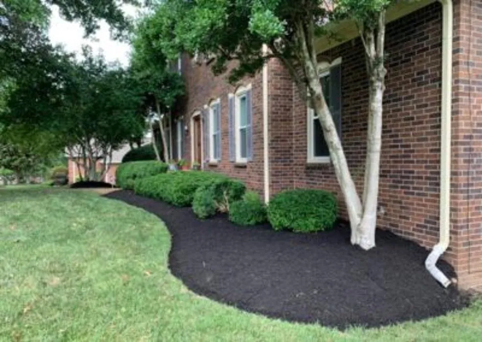Local yard cleanup service for beautiful yards across Mt. Juliet, TN - Lawns By Luke