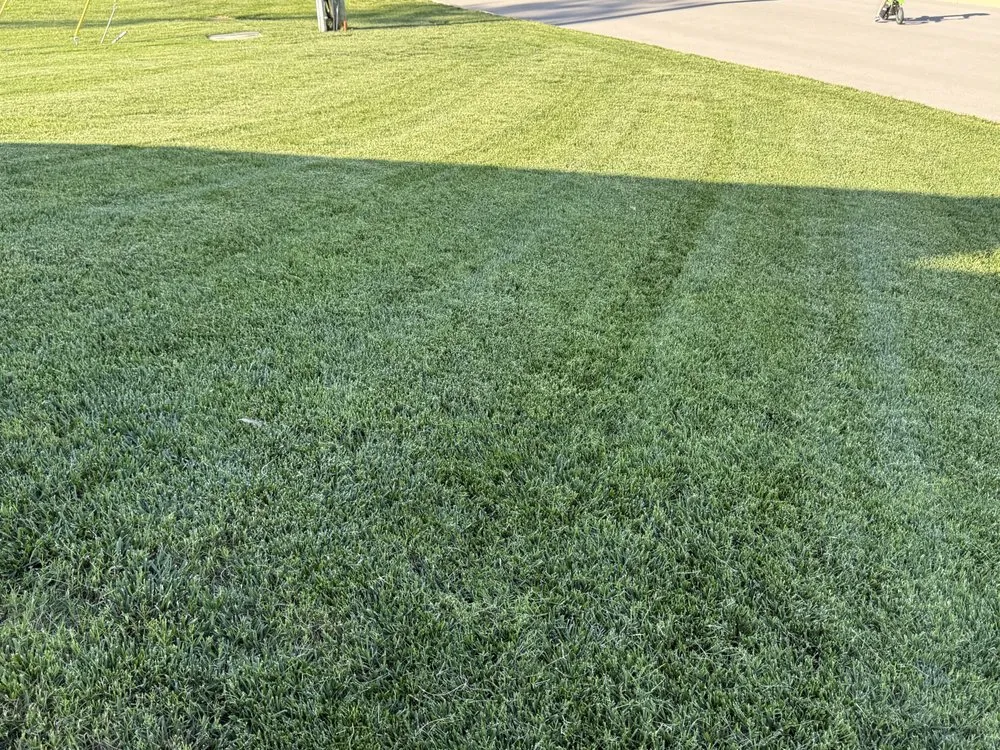 Custom residential landscaping experts serving Lebanon, TN - Lawns By Mike