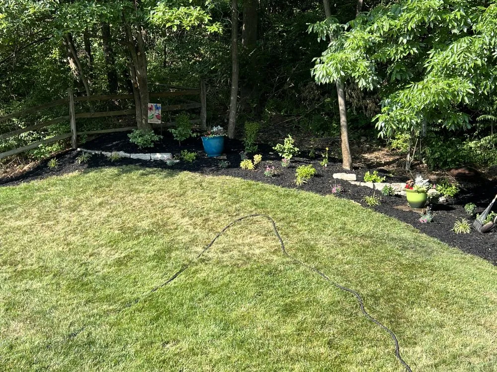 Professional yard maintenance in Cincinnati, OH - Lawns By Nick
