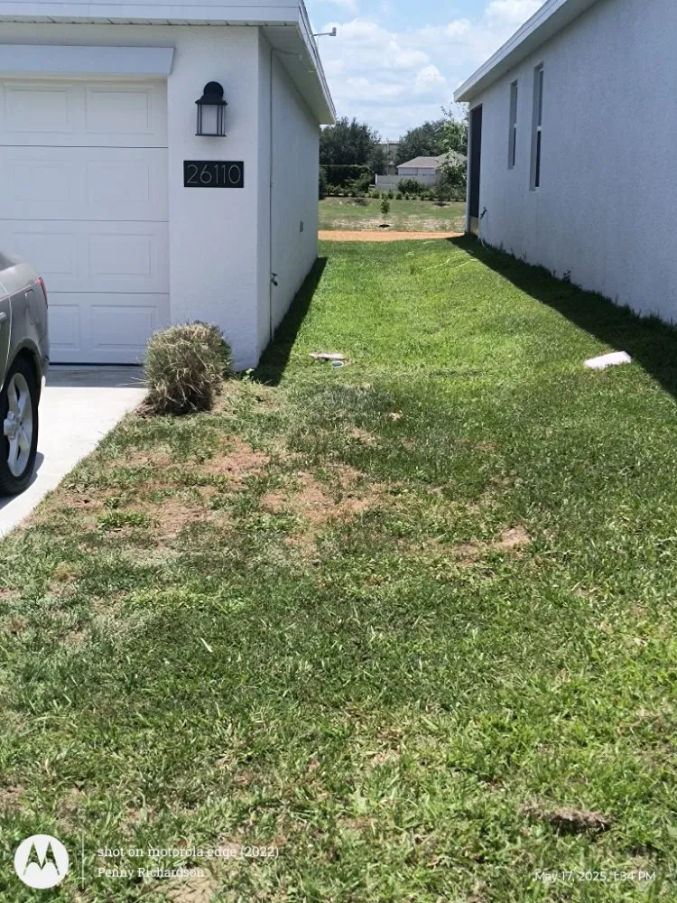 Reliable lawn care service in Webster, FL by Lawns by Ronn
