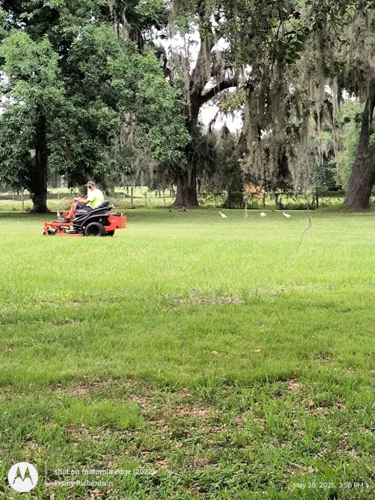 Custom landscape installation in Webster, FL - Lawns by Ronn