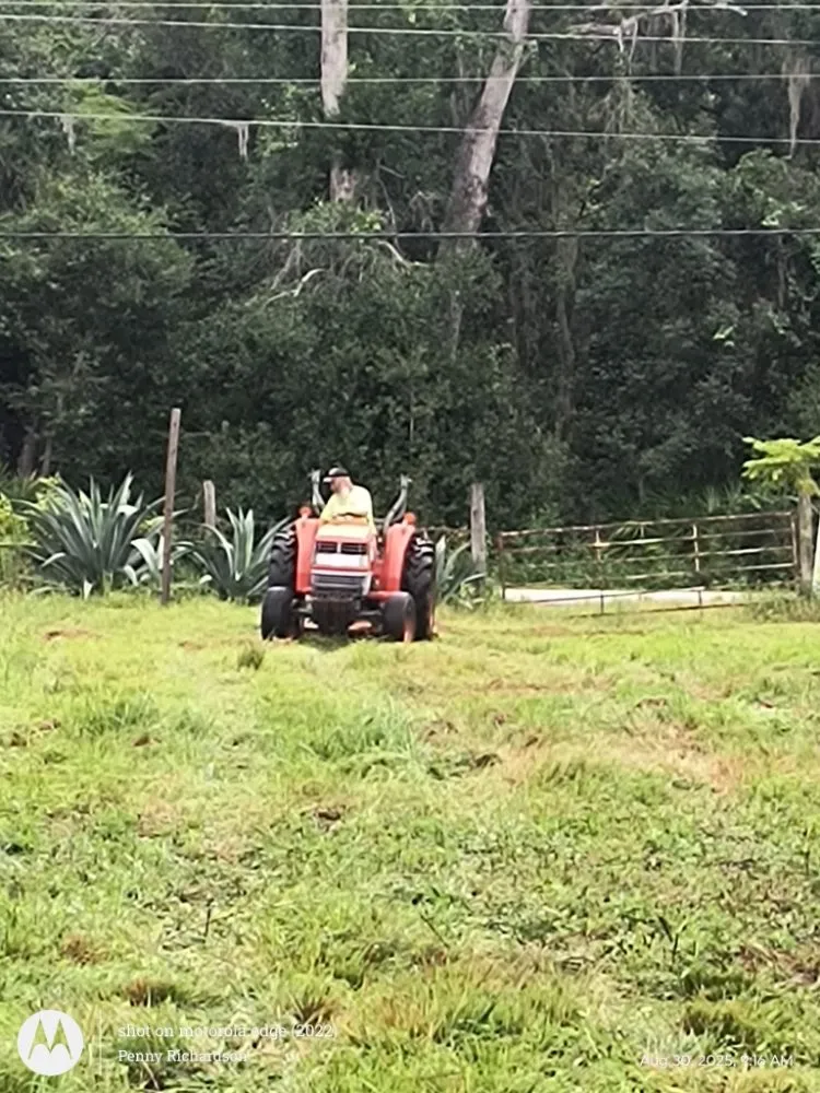 Custom lawn care service in Webster, FL by Lawns by Ronn