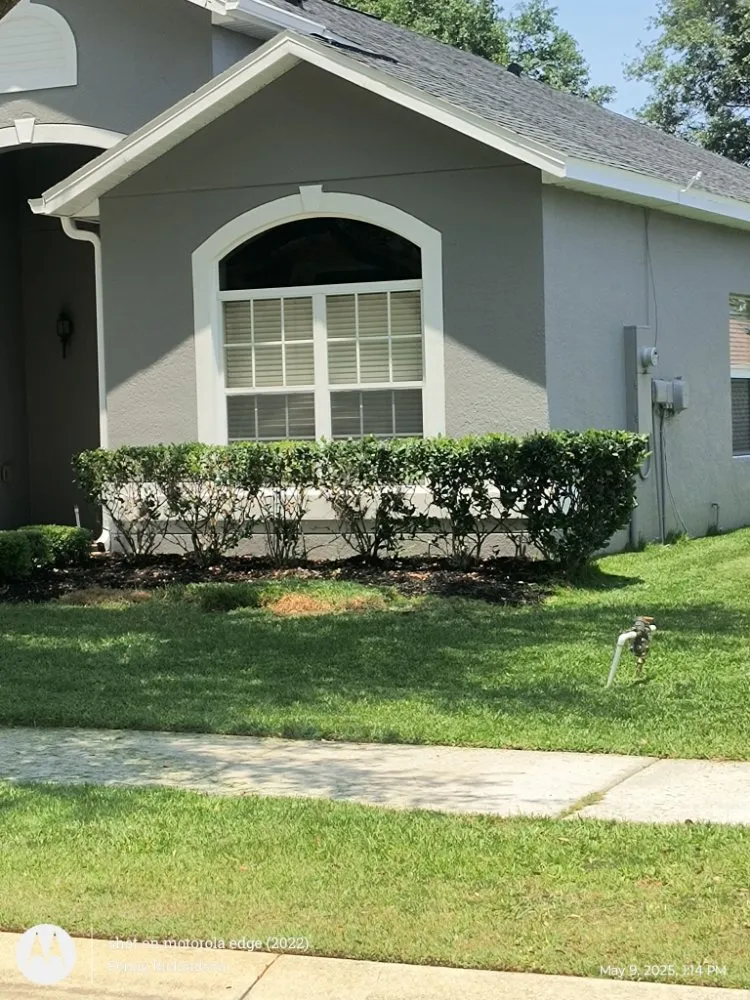 Local yard cleanup service near you in Webster, FL by Lawns by Ronn