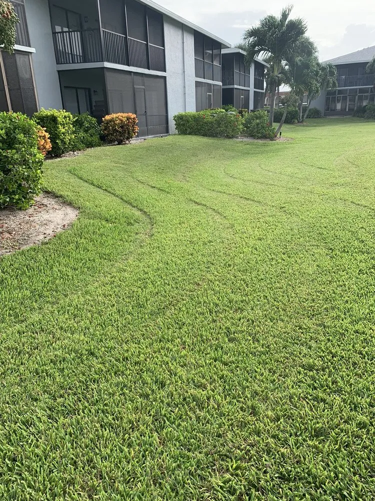 Reliable landscape installation in Cocoa Beach, FL - Lawns by Scott