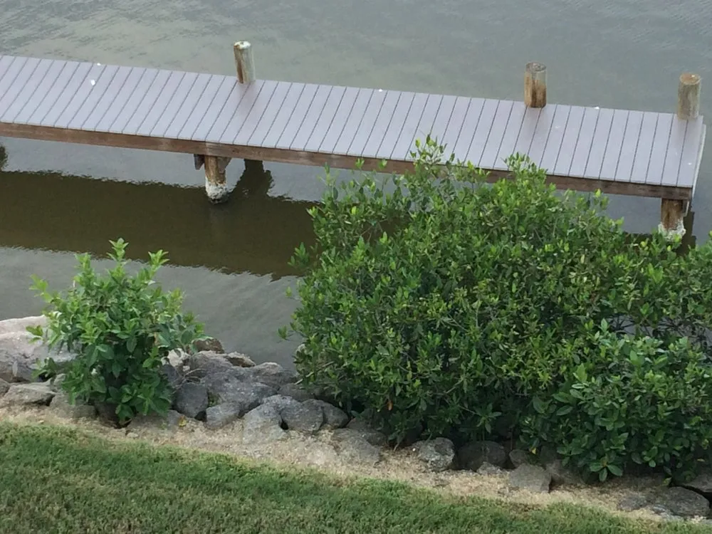 Local residential landscaping in Cocoa Beach, FL - Lawns by Scott