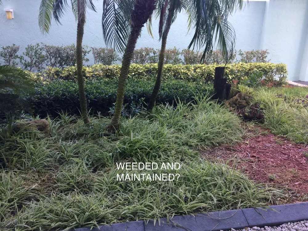 Local landscaping services with custom design in Cocoa Beach, FL by Lawns by Scott