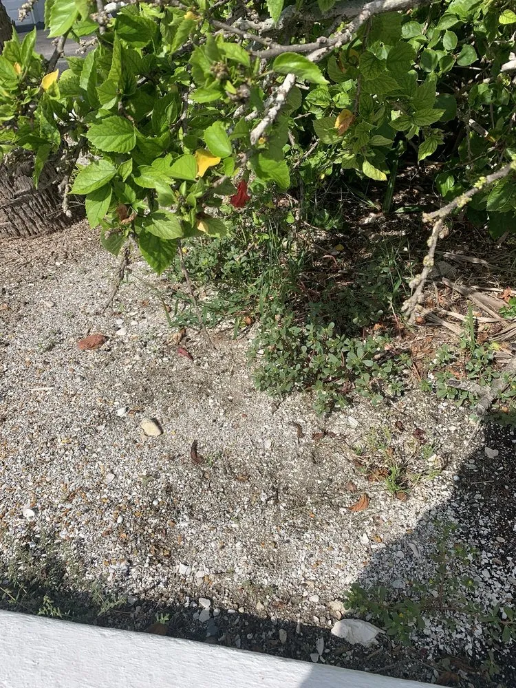 Reliable landscape installation in Cocoa Beach, FL - Lawns by Scott