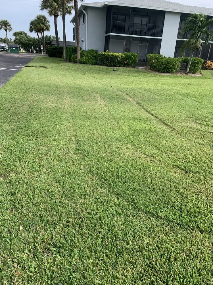 Expert yard maintenance for homes in Cocoa Beach, FL by Lawns by Scott