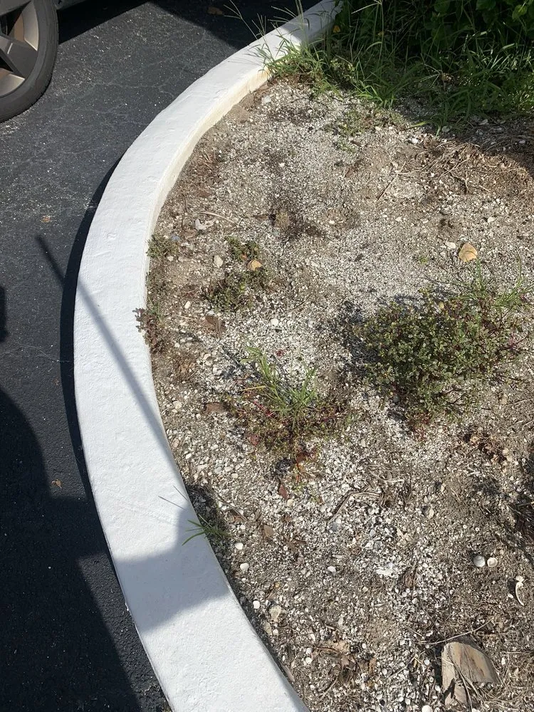 Top-rated yard maintenance for residential properties in Cocoa Beach, FL by Lawns by Scott