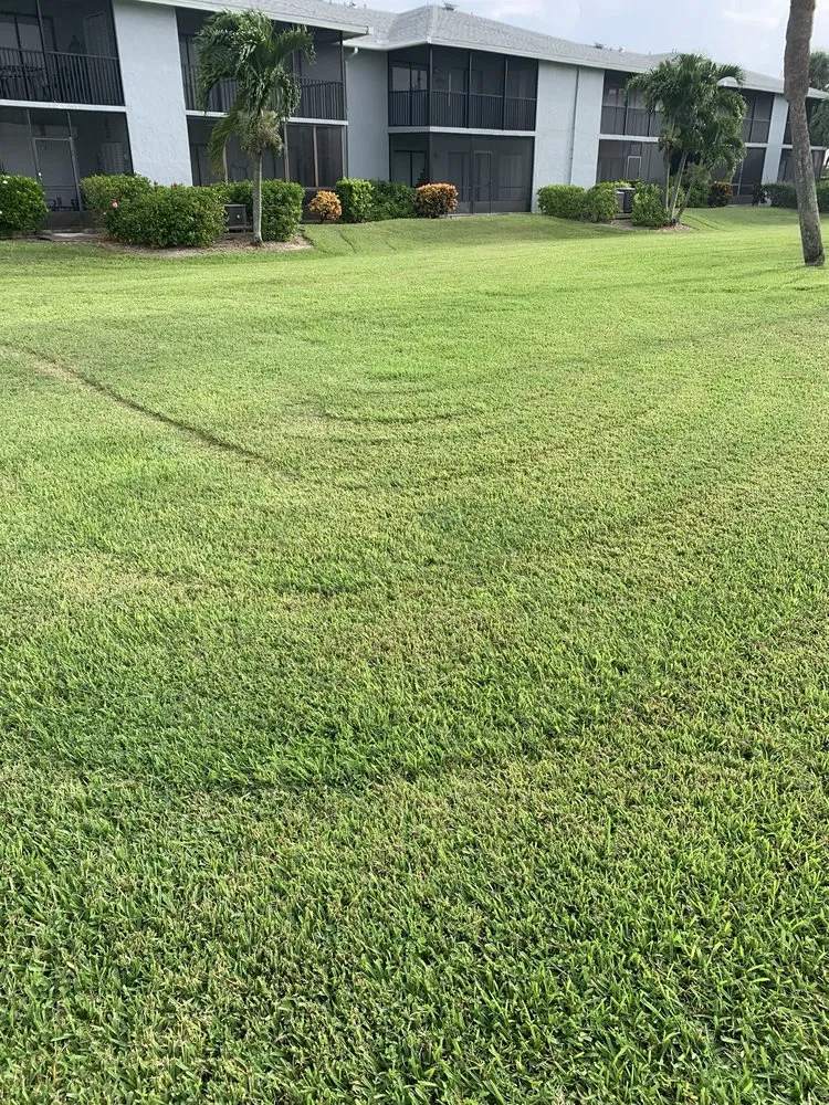 Professional lawn care service experts serving Cocoa Beach, FL - Lawns by Scott