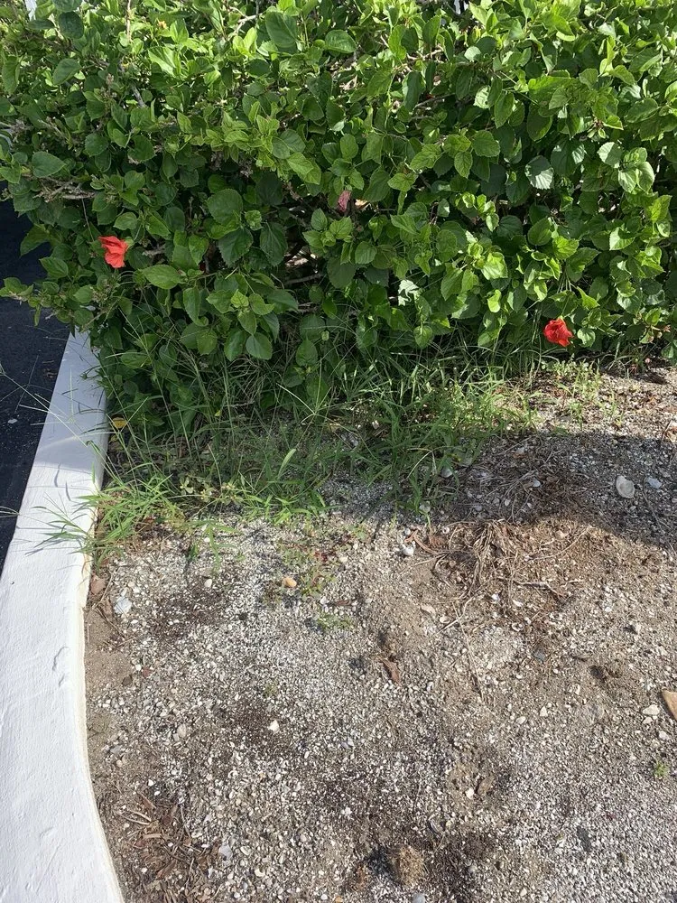 Custom landscape design experts serving Cocoa Beach, FL - Lawns by Scott