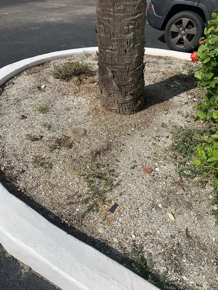 Expert landscaping services for year-round maintenance across Cocoa Beach, FL - Lawns by Scott