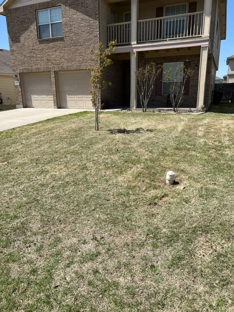 Trusted residential landscaping experts serving Robinson, TX - Lawns by Shawn