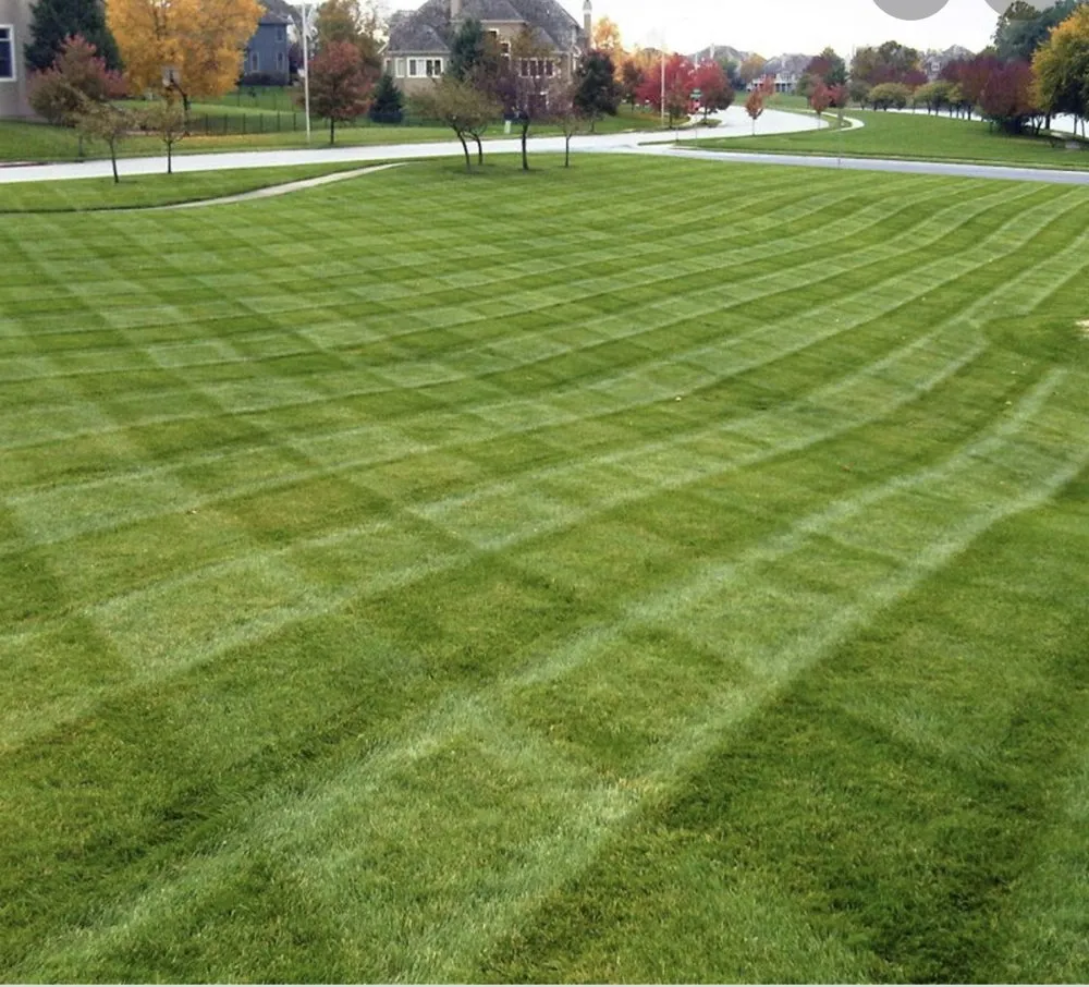 Affordable landscape installation near you in Robinson, TX by Lawns by Shawn