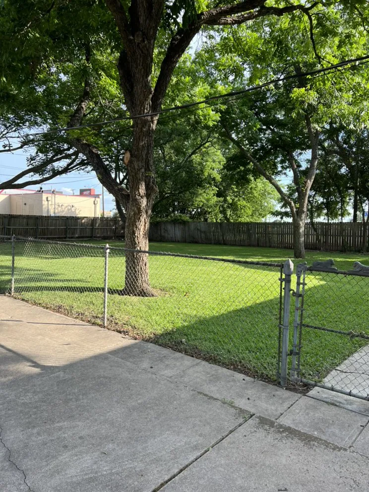 Local outdoor landscaping experts serving Robinson, TX - Lawns by Shawn