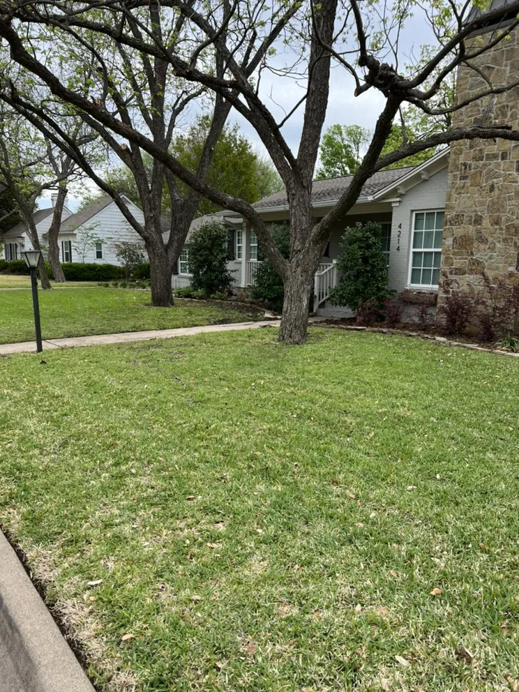 Expert residential landscaping in Robinson, TX by Lawns by Shawn