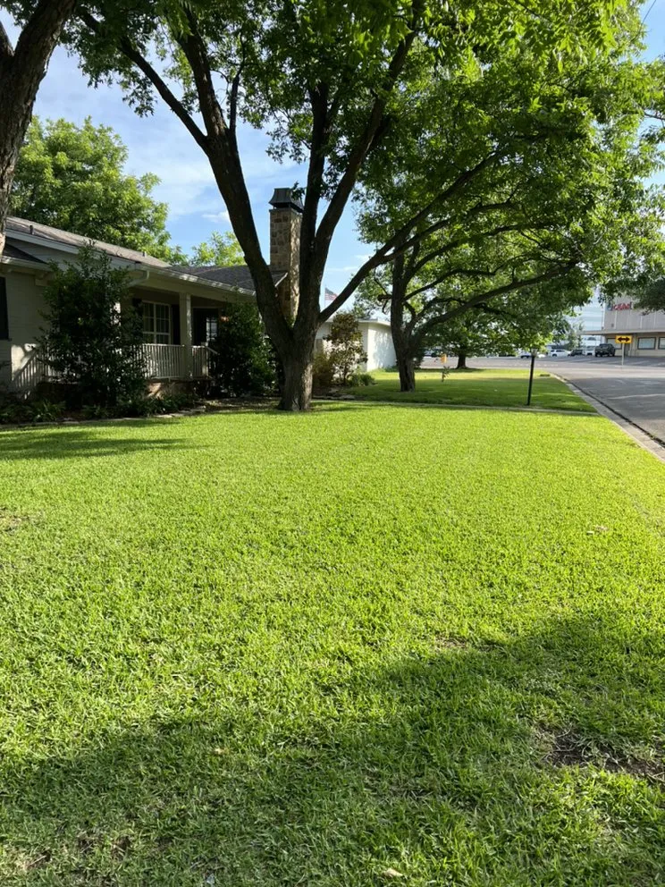 Top-rated lawn mowing service experts serving Robinson, TX - Lawns by Shawn