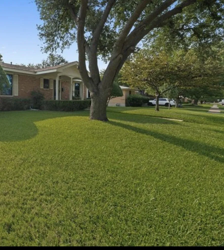 Custom lawn mowing service with custom design across Robinson, TX - Lawns by Shawn