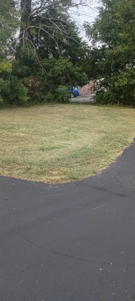 Professional landscaping services in Louisville, KY by Lawns by Stephen