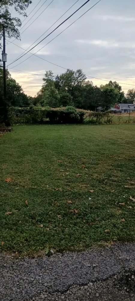 Professional lawn care service experts serving Louisville, KY - Lawns by Stephen