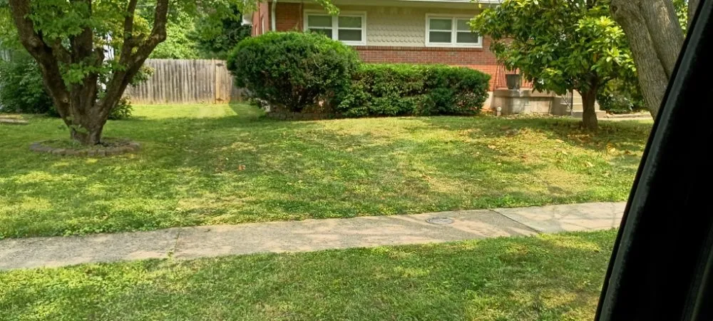 Custom lawn mowing service in Louisville, KY by Lawns by Stephen