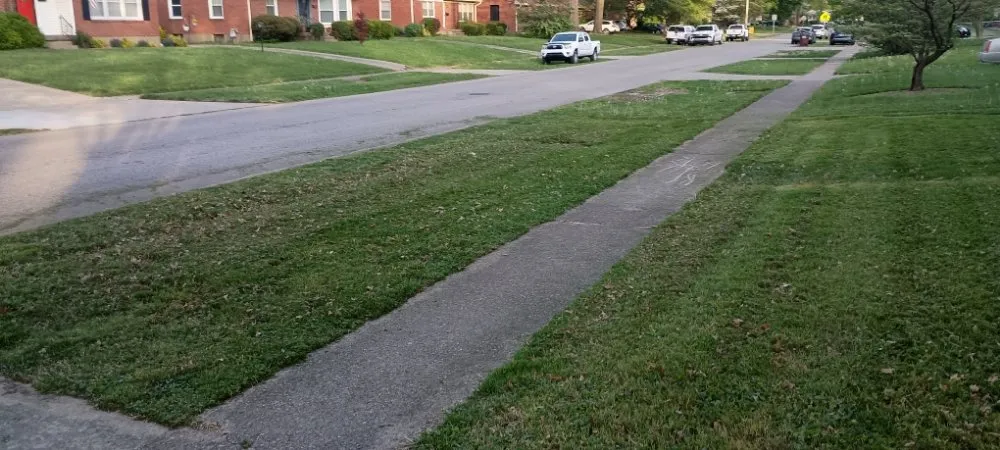 Trusted outdoor landscaping for year-round maintenance in Louisville, KY by Lawns by Stephen