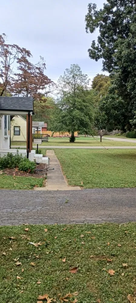 Expert yard cleanup service experts serving Louisville, KY - Lawns by Stephen