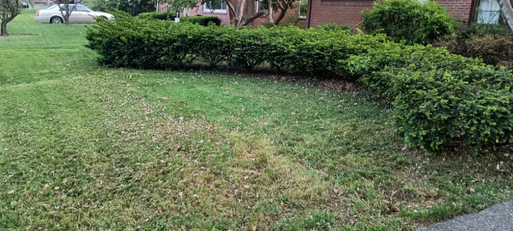 Custom landscaping services experts serving Louisville, KY - Lawns by Stephen