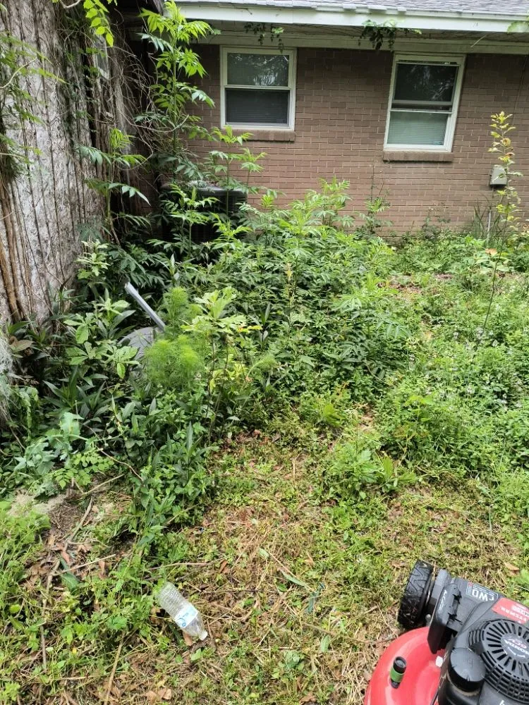 Trusted landscape installation for beautiful yards across Gulfport, MS - Lawns by Terence