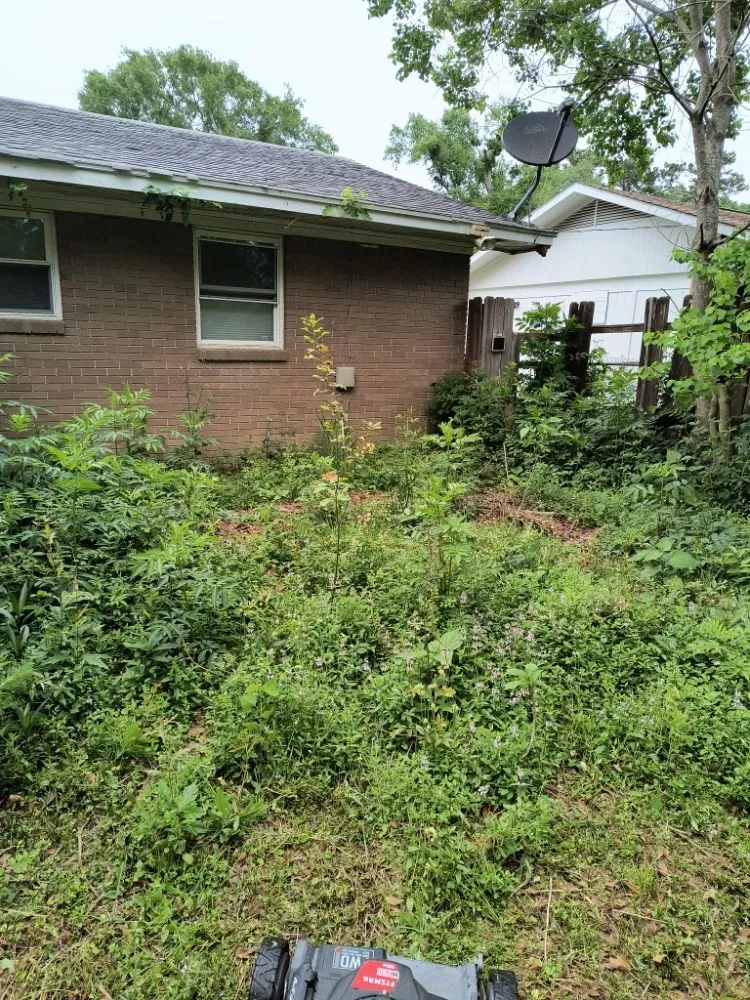 Affordable yard cleanup service in Gulfport, MS by Lawns by Terence